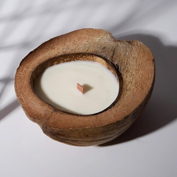 Scented Candle Clearance, Wooden Wick Soy Candles in a Big Coconut Shell, Relaxation Gifts for Women, Room Decor Natural Candles Non-Toxic (Caramel Island)